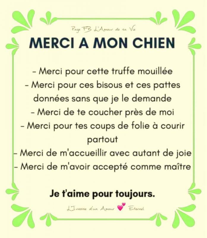 L'idée cadeau pourrave du 12 Décembre 2009 : le chien qui hoche la